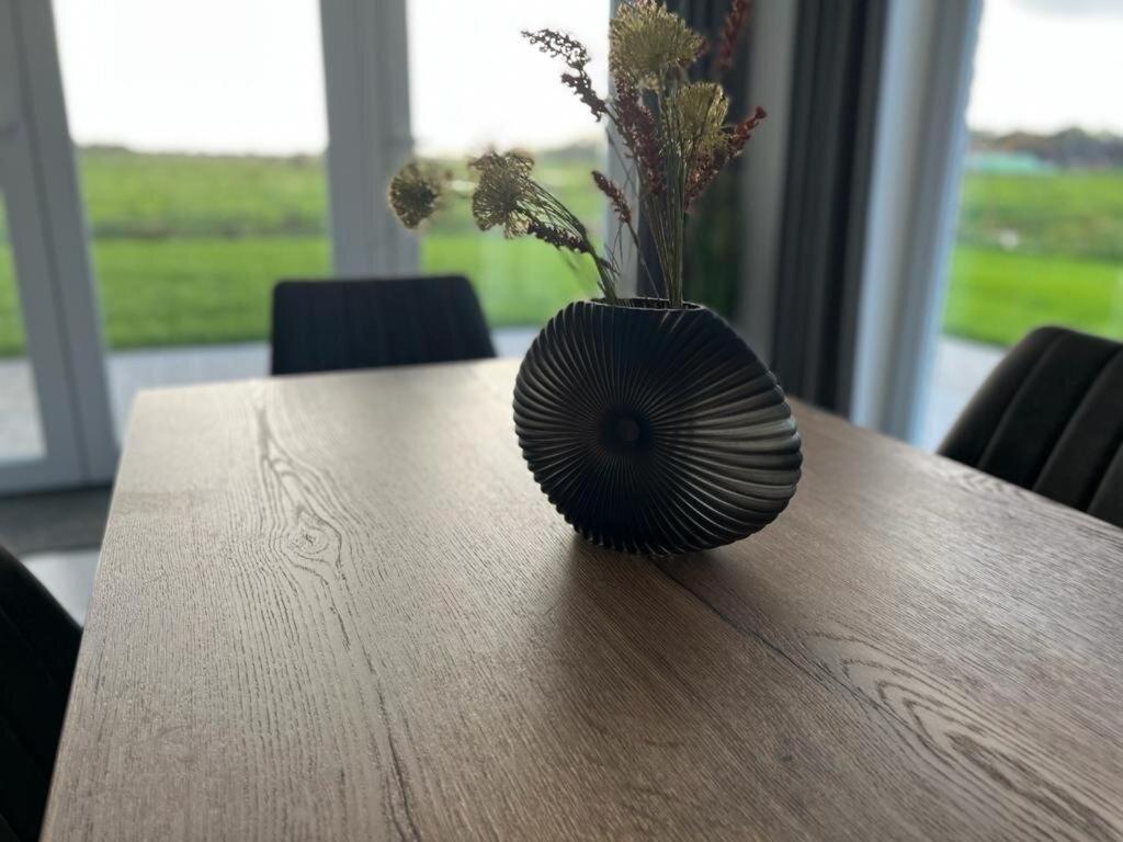 Kuh Blick Ferienhaus Sehestedt Sehestedt  Zewnętrze zdjęcie